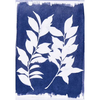 Cyanotype Chemistry Set