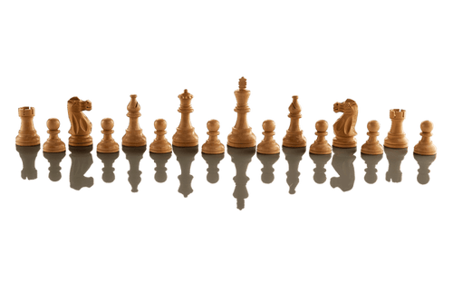 SINGLE REPLACEMENT PIECES: Supreme Tournament 55 Millennium Electronic Chess Set - Parts - Chess-House