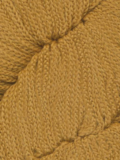 Medallion 26