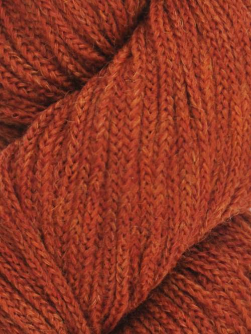 Acorn 31